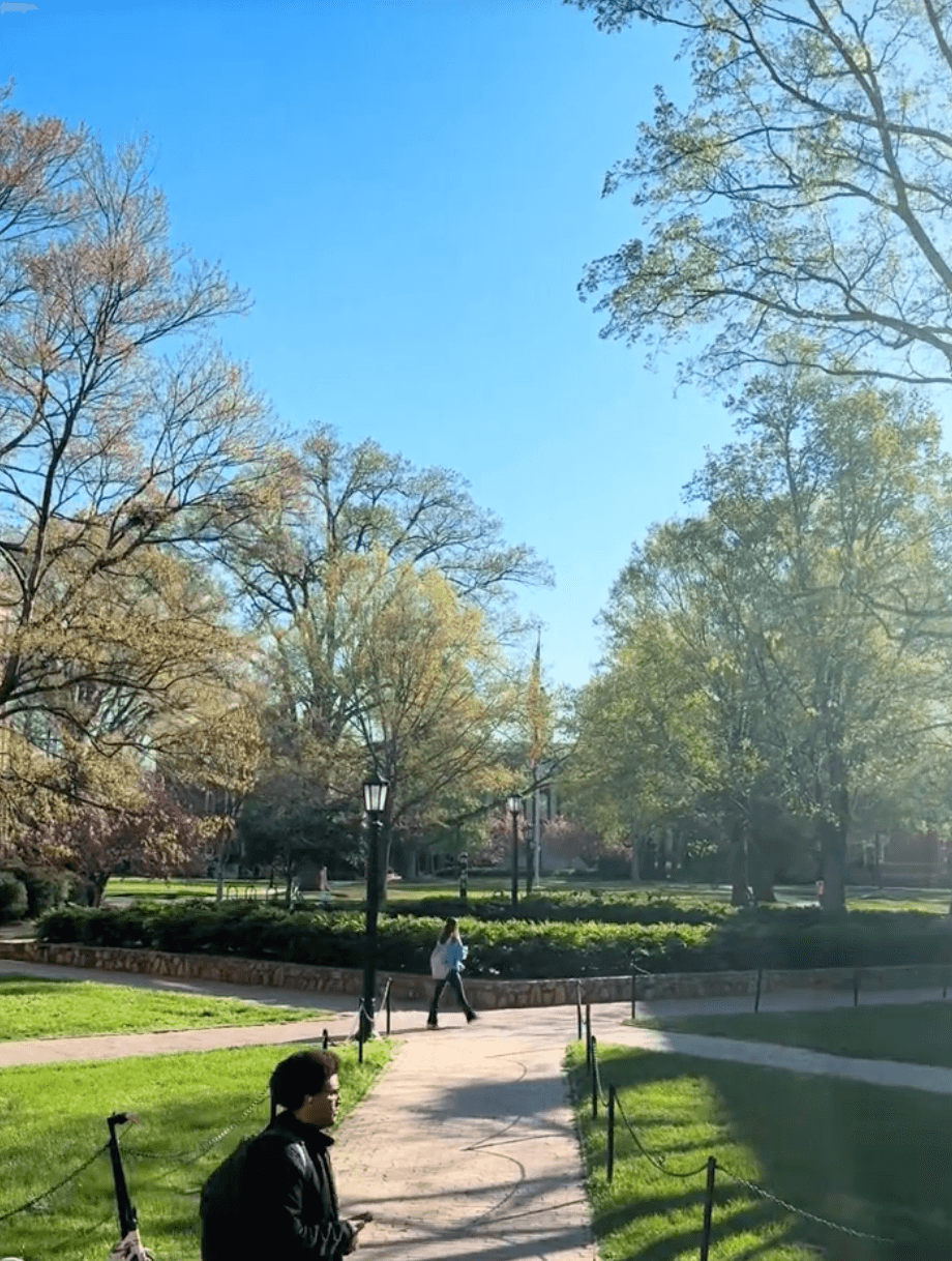 TikTok - Make Your Day