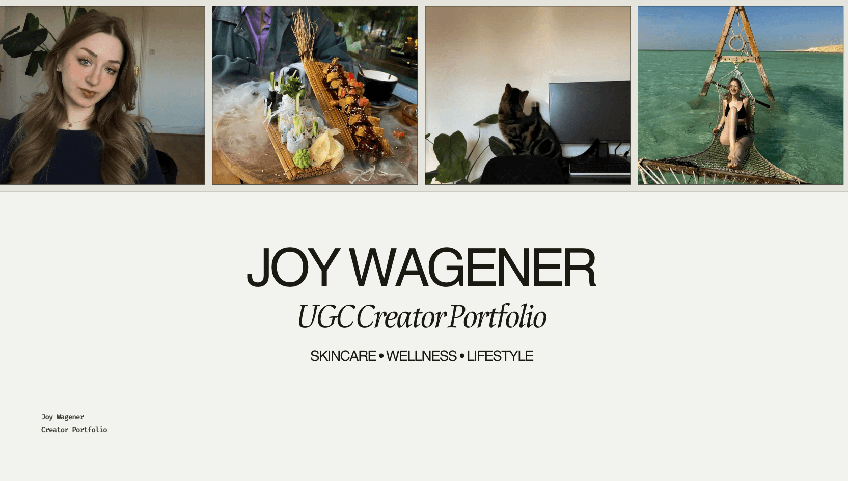 canvalinkportfolio-joywagener