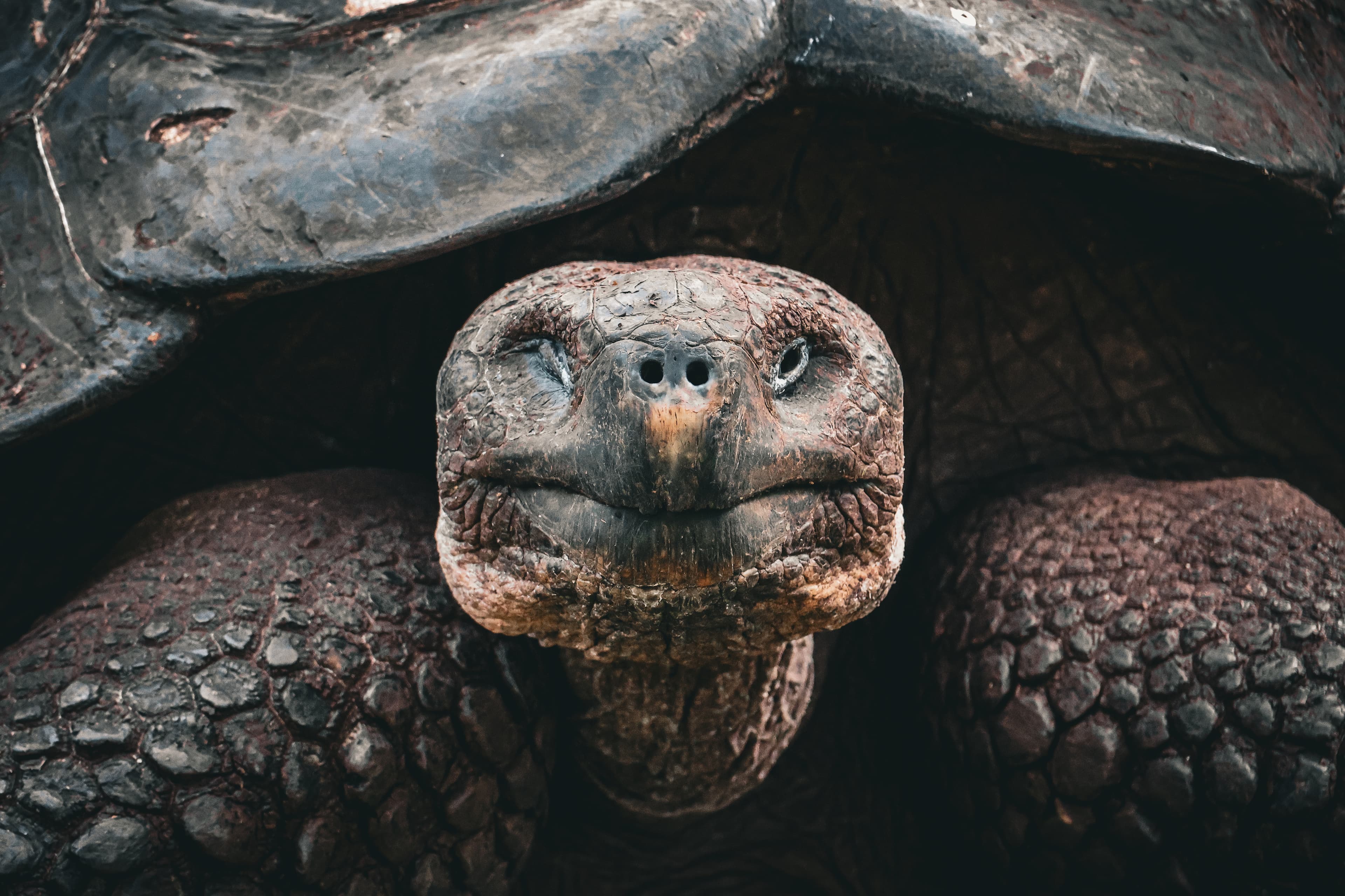 nfacton1.myportfolio.com/