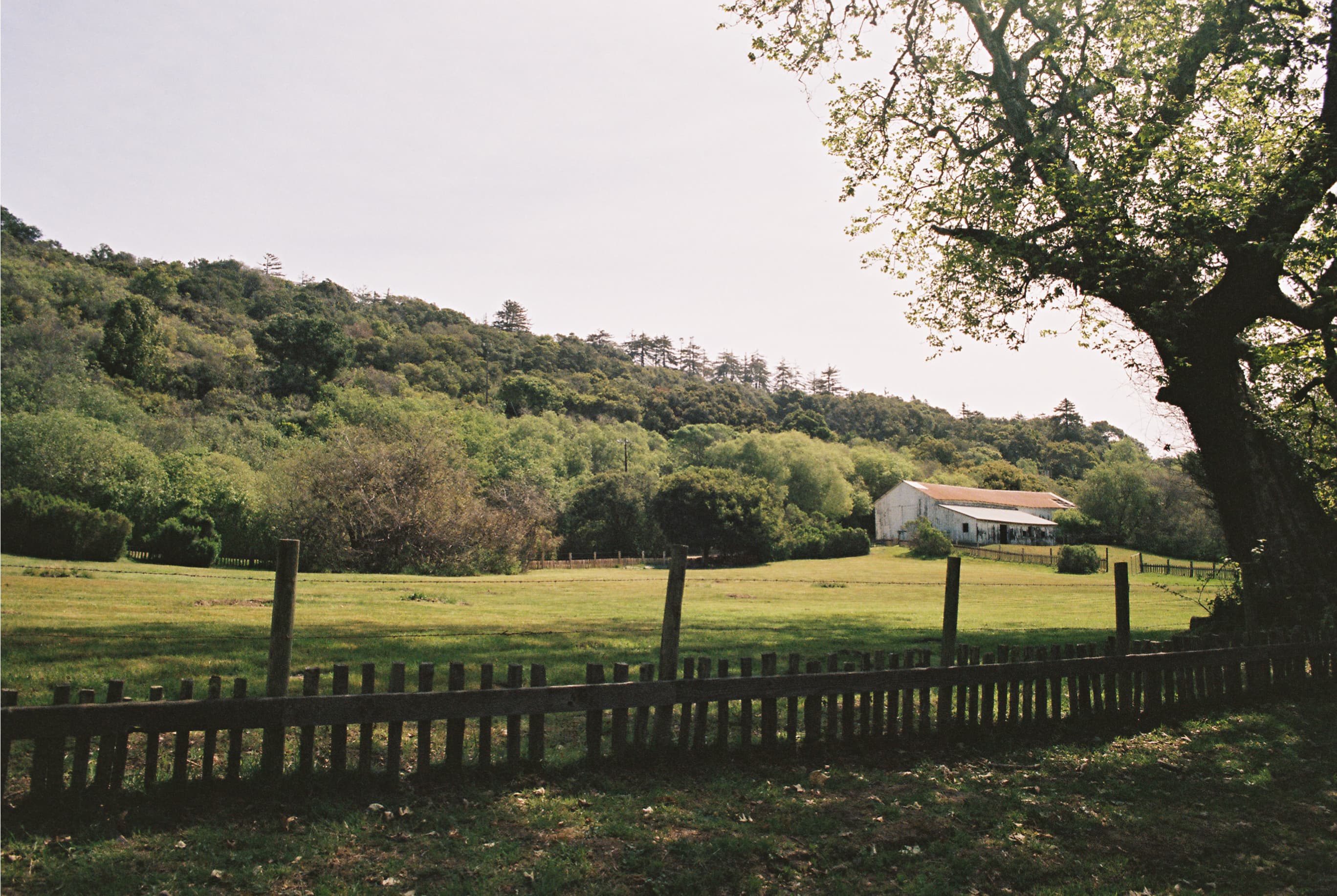 sites.google.com/view/filmfotos/home