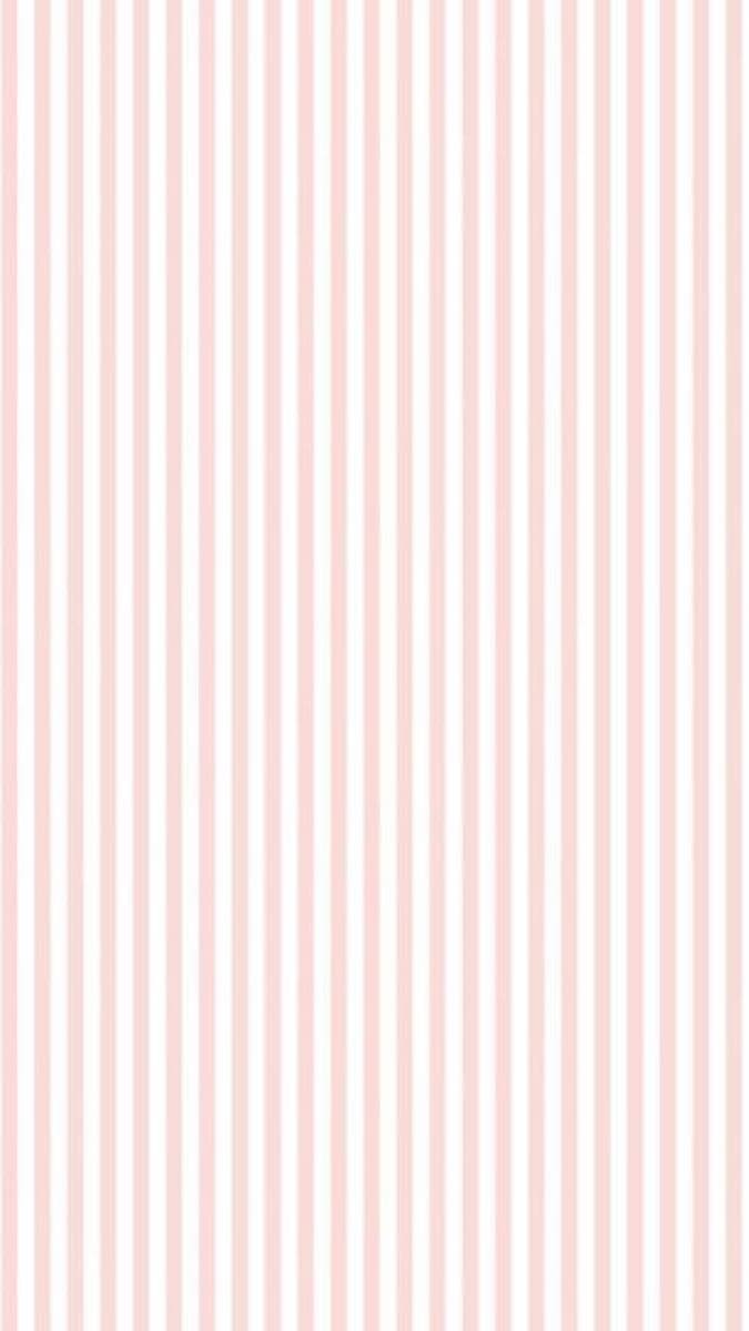 Marketing and Apparel Strategy