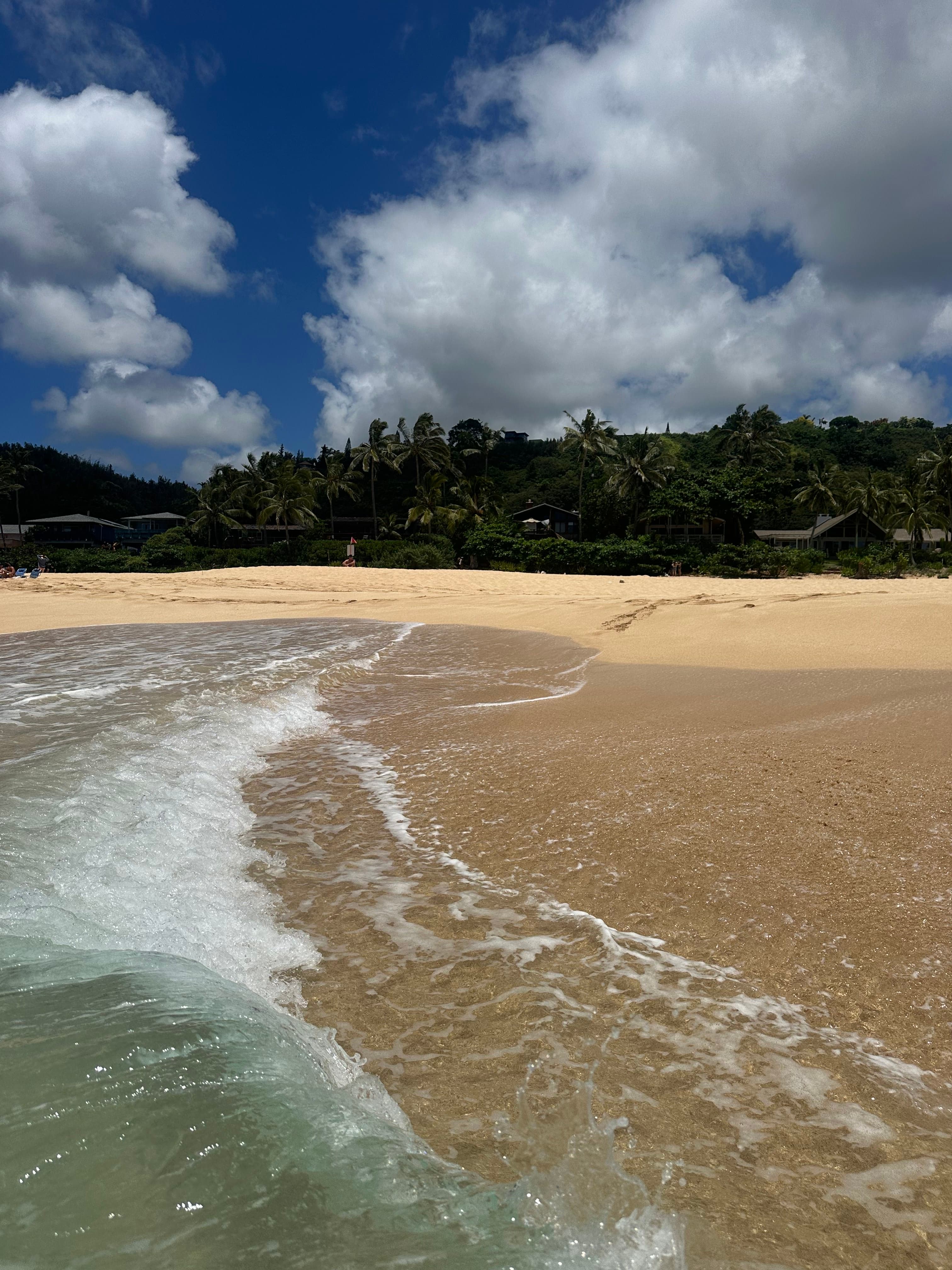 lindseybrownportfoliocomlindsey-brown