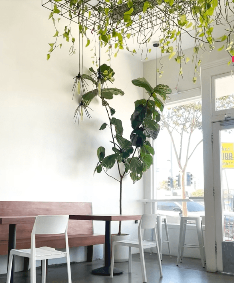 Workflow in a coffee shop