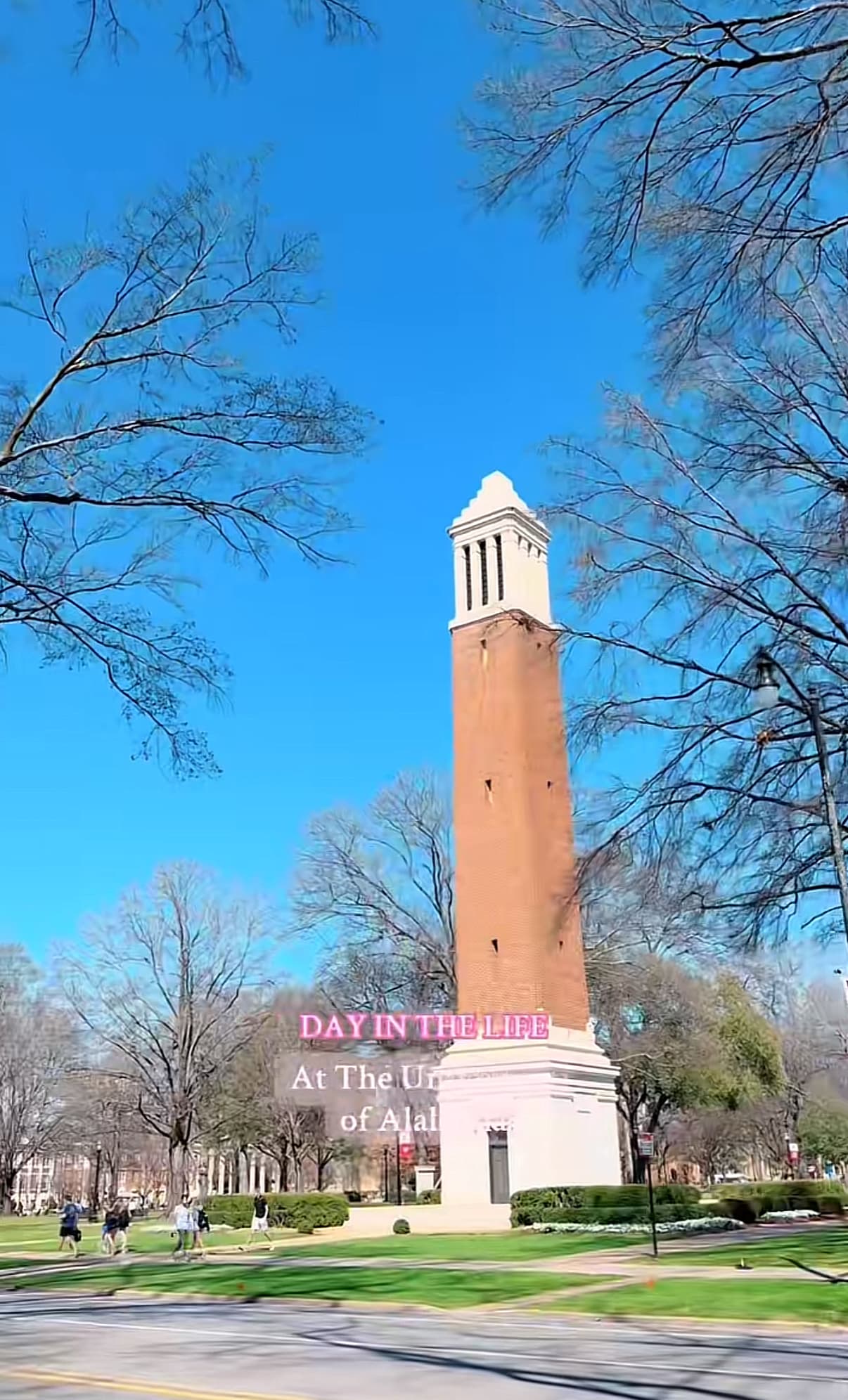 TikTok - Make Your Day