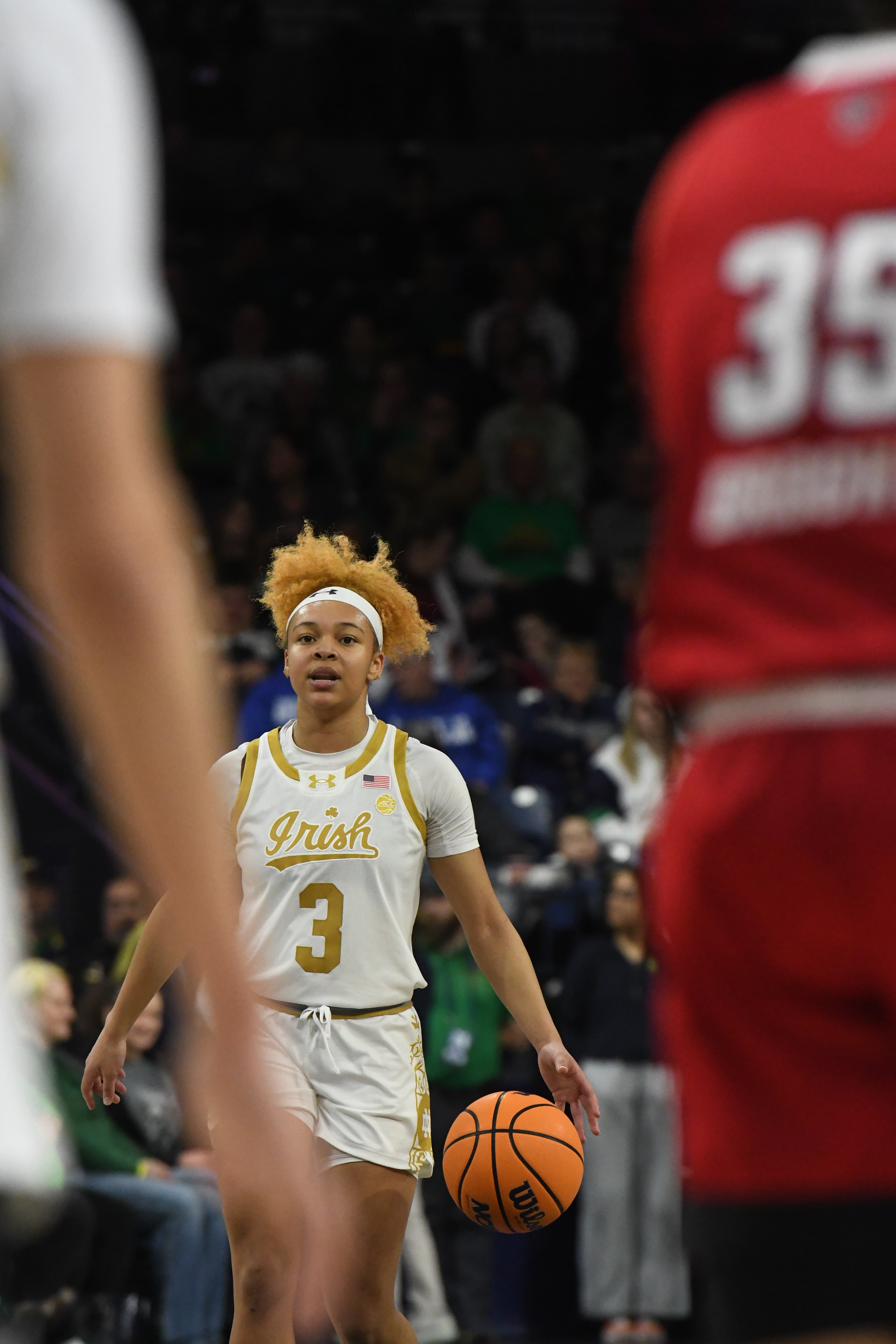 doerrindia.wixsite.com/indiasphotography