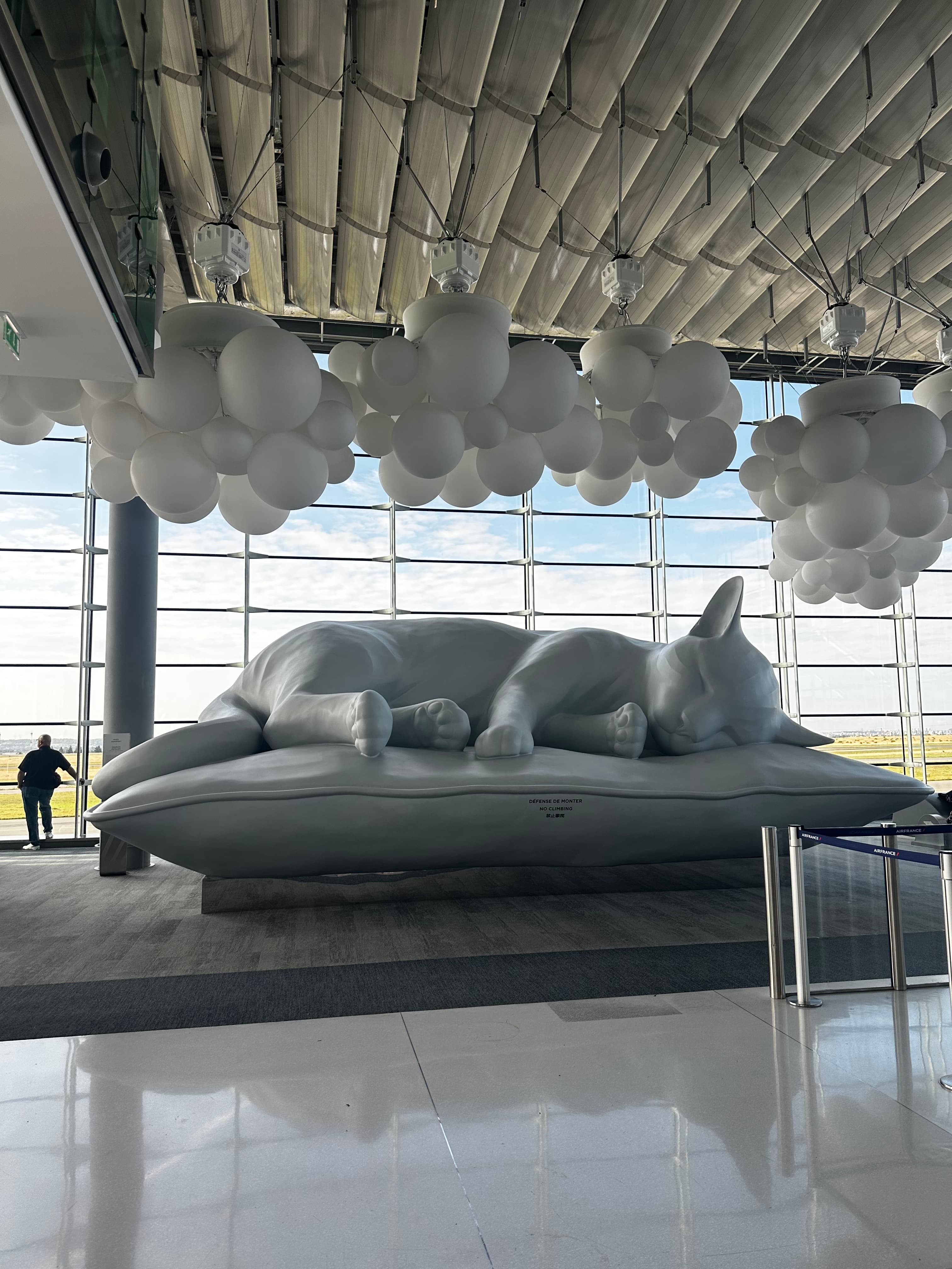 TikTok - Make Your Day