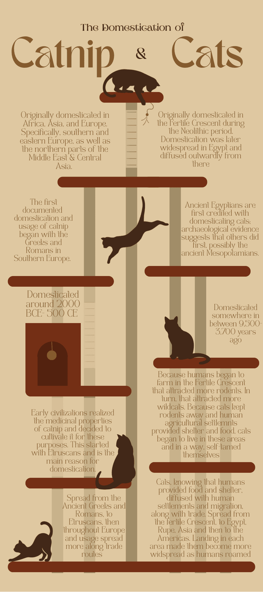 wwwcanvacomdesignDAG1BnA0rl0u110YmtB45eJruFQnHHWwedit