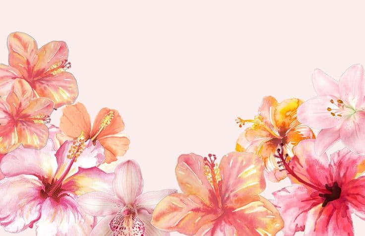 Portfolio at a glance