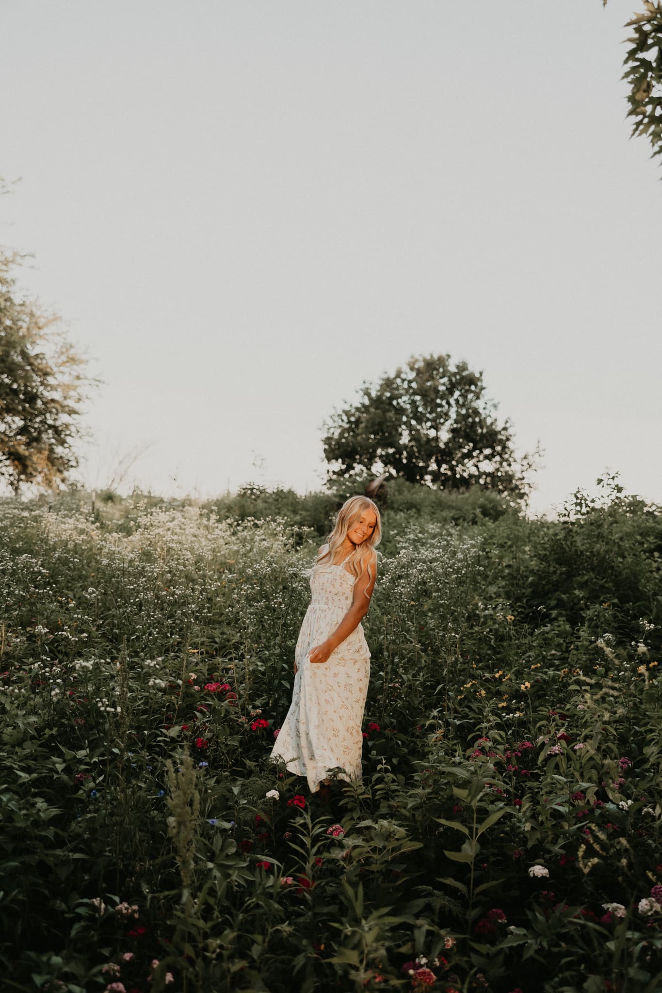 zoielwoodswixsitecomzoiewoods